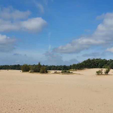 Chalet 11, In Het Bos Doornspijk 外观 照片
